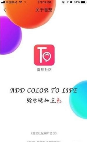 ta99番茄