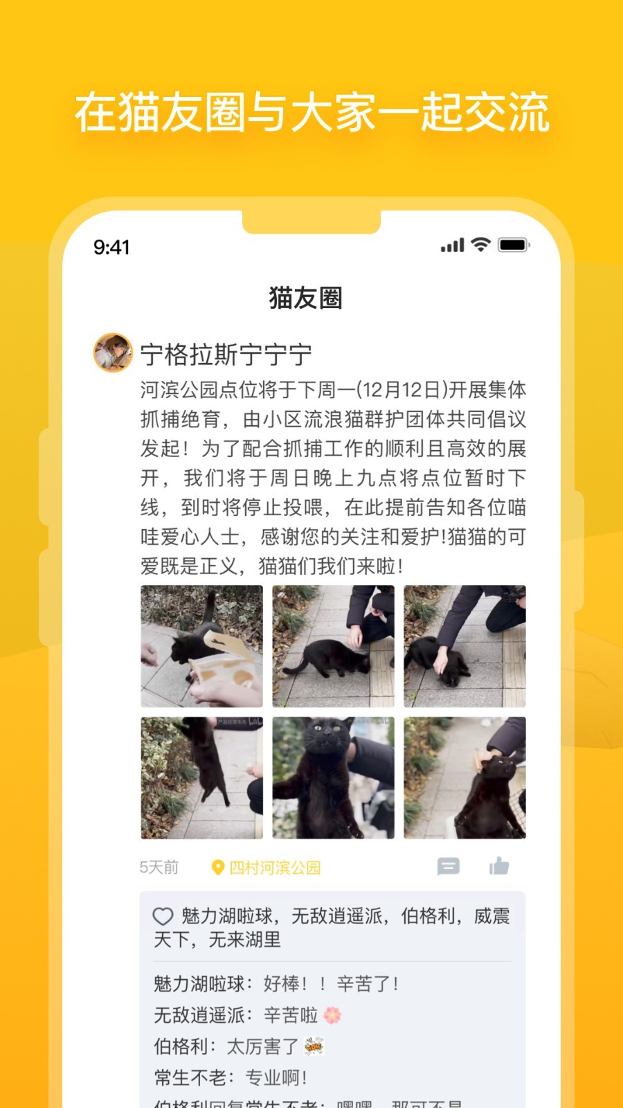 街猫2024版
