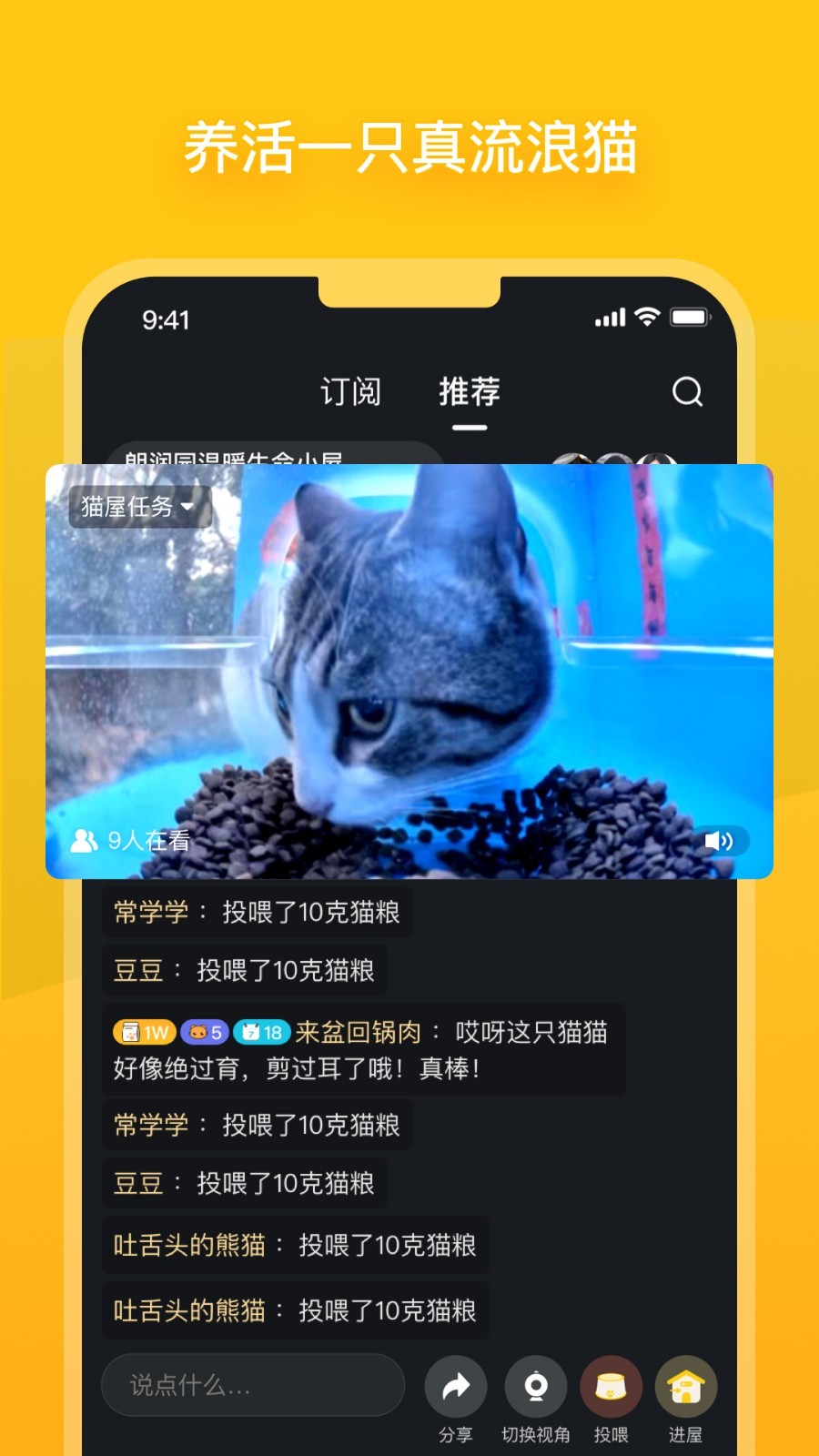 街猫2024版