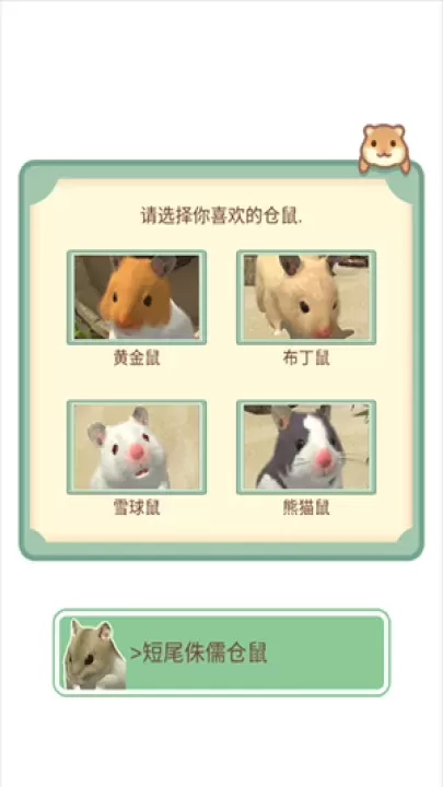 我的仓鼠_https://m.221u.com_休闲益智_第1张
