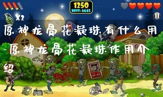原神龙骨花凝珠有什么用-原神龙骨花凝珠作用介绍_https://m.221u.com_游戏攻略_第1张